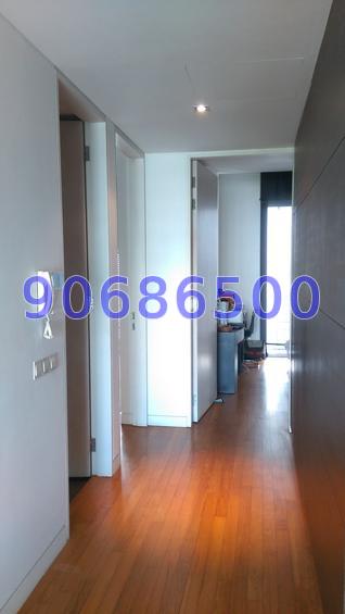 Three Three Robin (D10), Apartment #73163892